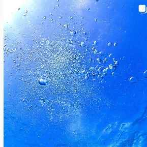 シープラネットのカバー画像1