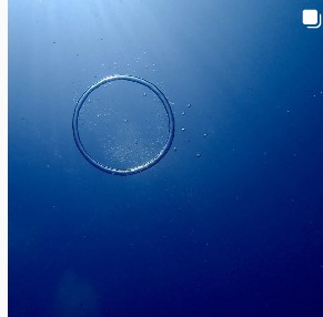 シープラネットのカバー画像3