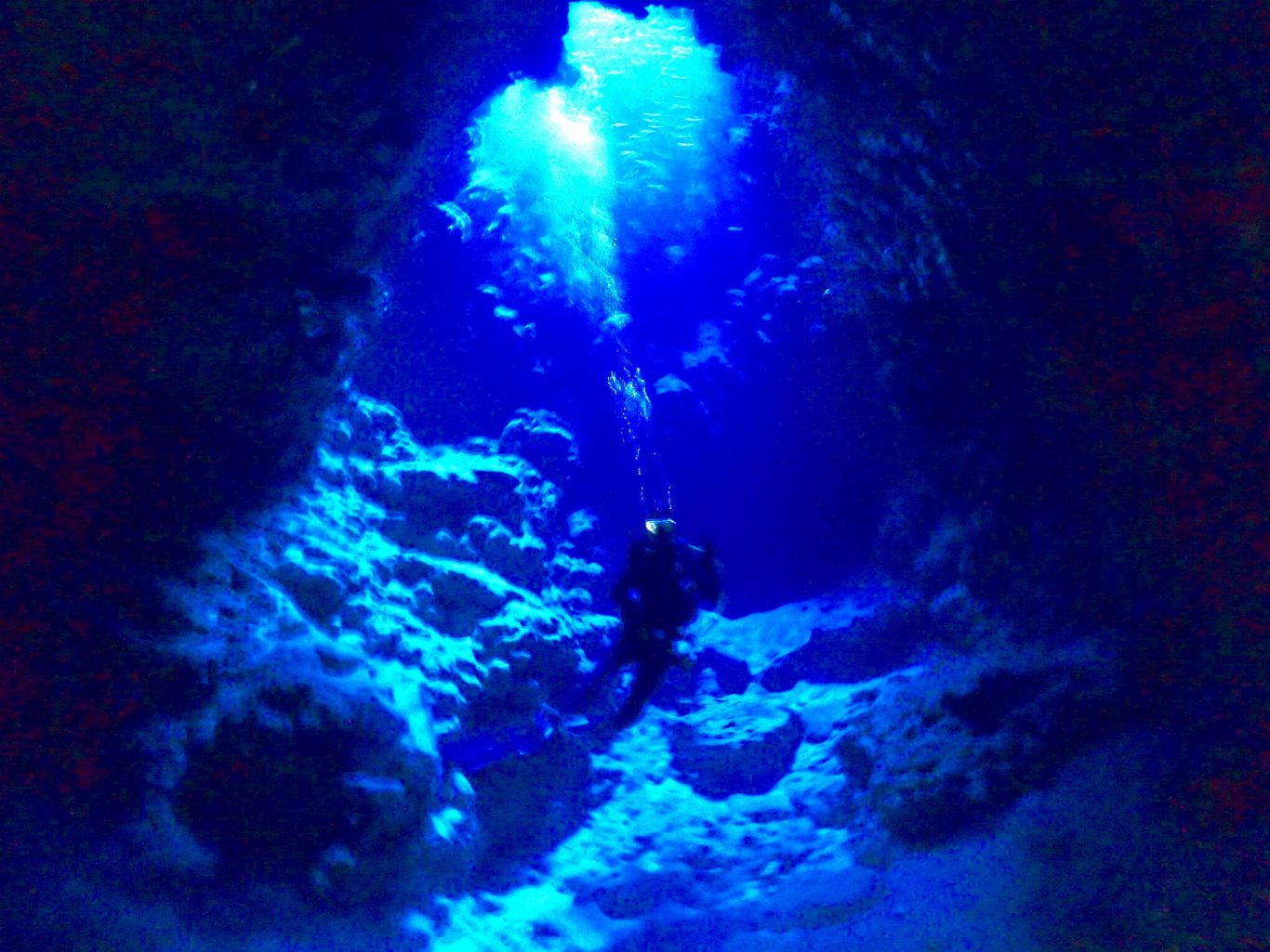 宮古島ダイビングリゾートREEFのカバー画像2