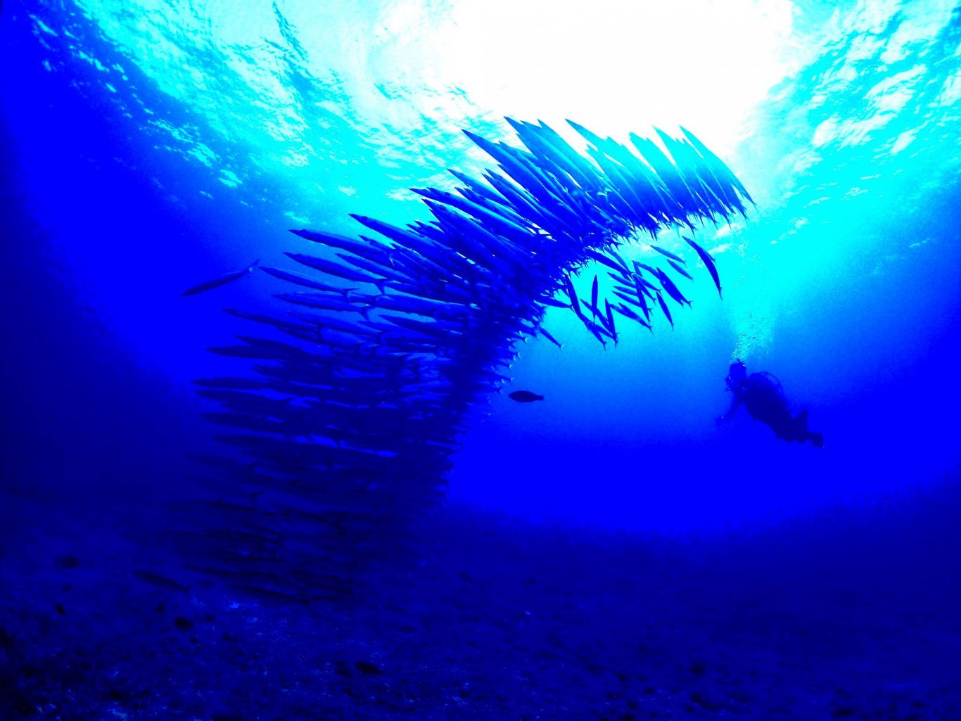 ショップのイメージ画像5