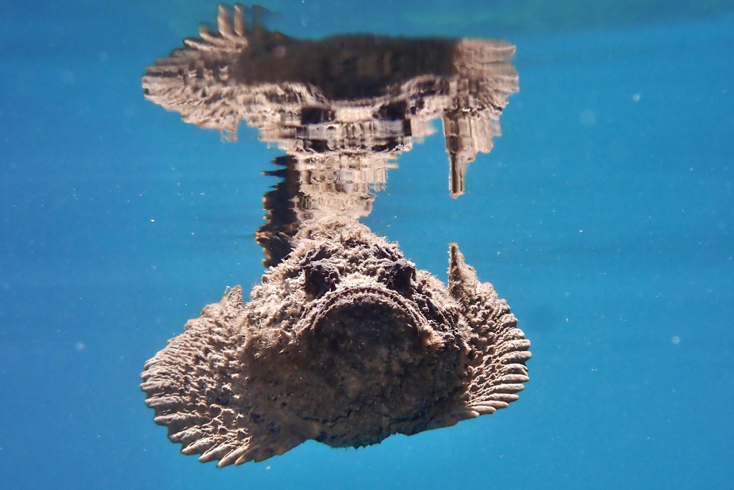 ショップのイメージ画像5