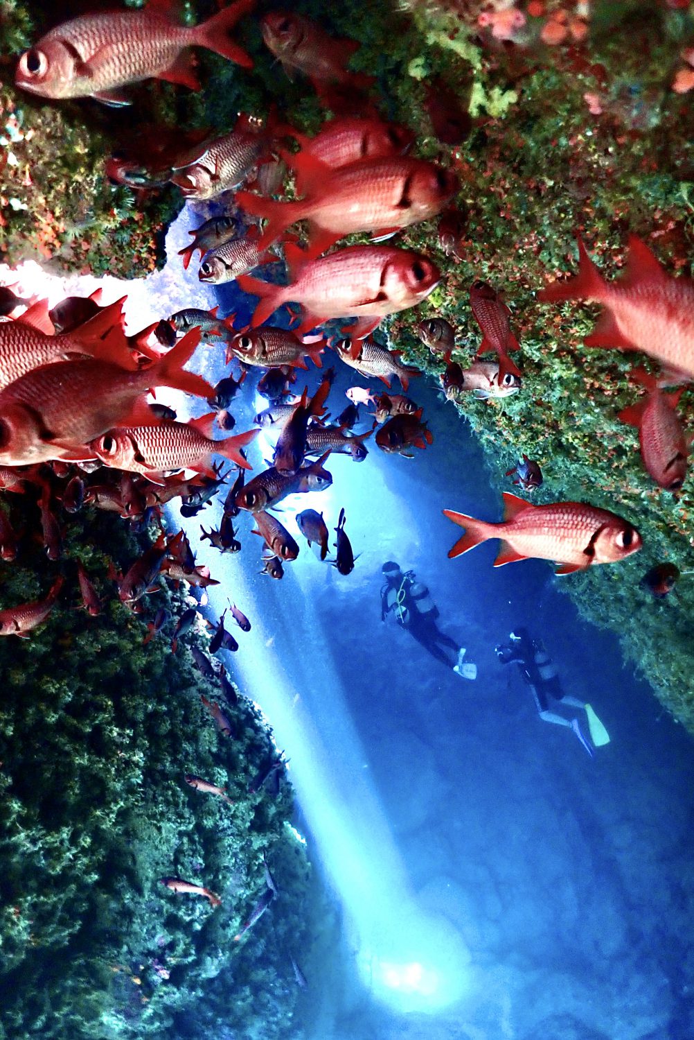 宮古島サマーパーティーのショップ写真8