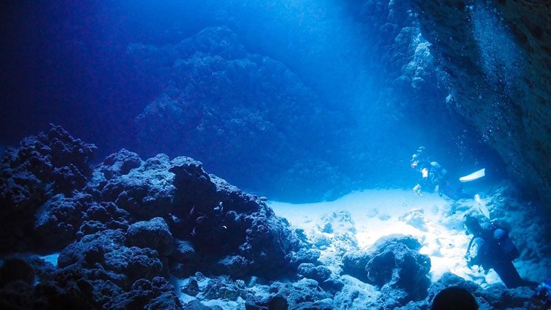 マレア宮古島のショップ写真6