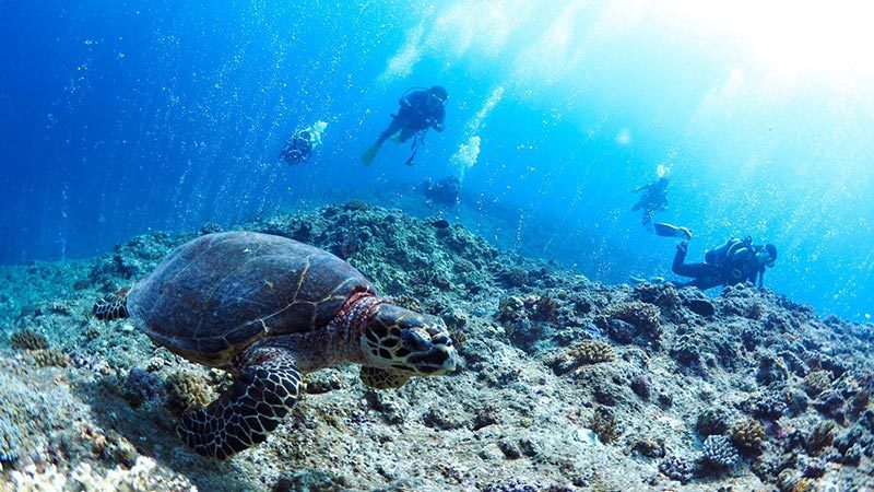 ショップのイメージ画像5