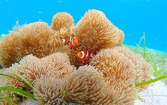 ショップのイメージ画像4