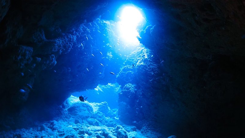 マレア宮古島のカバー画像3