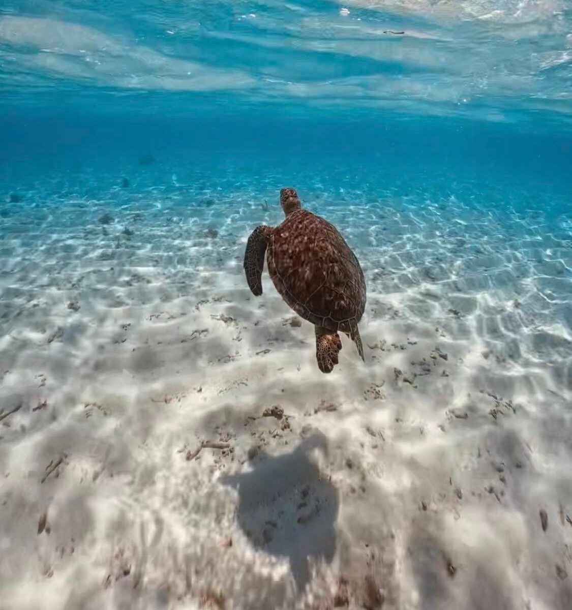 アクアストーリーのショップ写真7