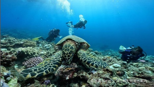 ショップのイメージ画像5