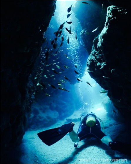 ショップのイメージ画像4